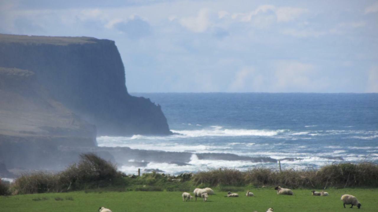 مبيت وإفطار Ballyvoe House دولين المظهر الخارجي الصورة